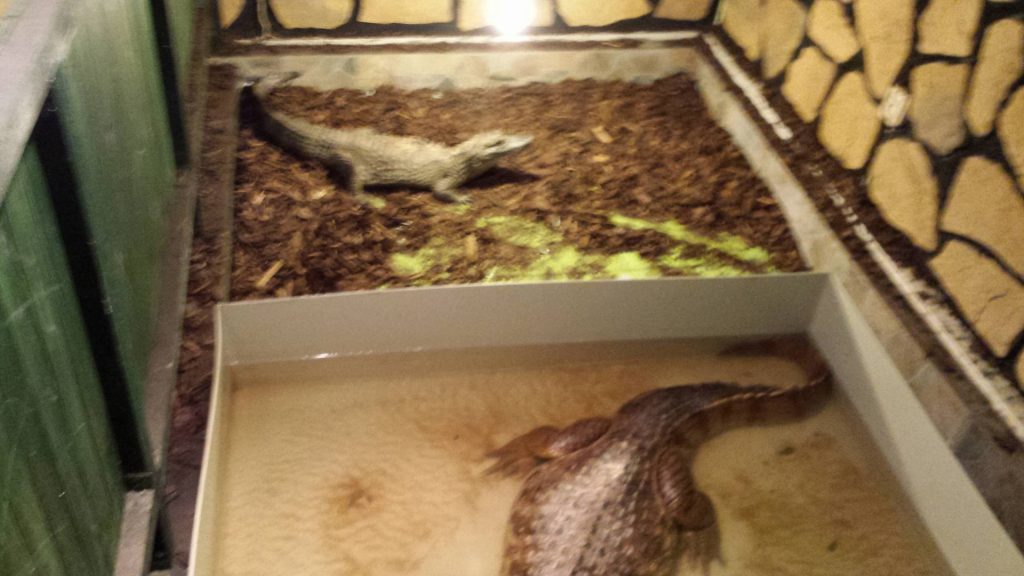 13120403_1085661138123569_1340825967_o