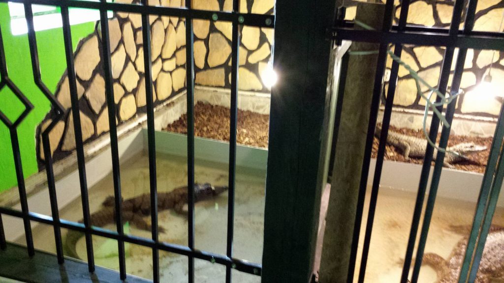 13120508_1085661084790241_1663903544_o