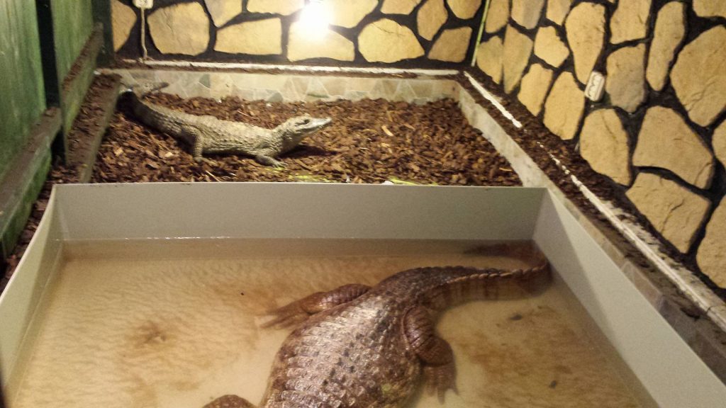 13120571_1085661154790234_502251176_o